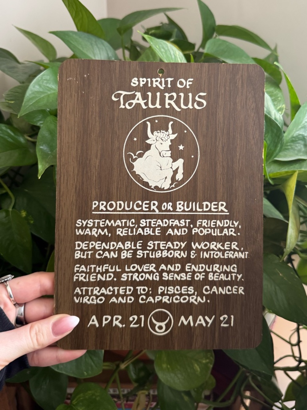 Spirit of Taurus Wooden Zodiac Plaque - Brown & White